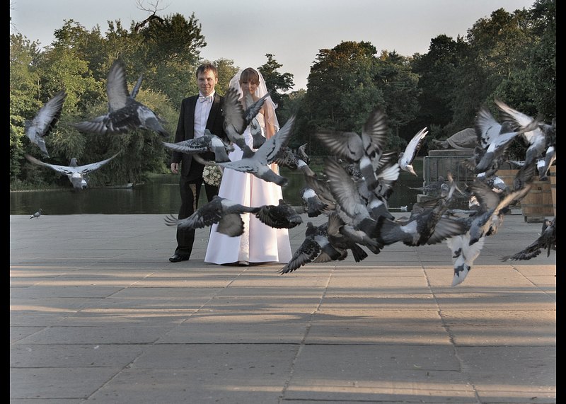 fotografia slubna